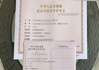 藝術(shù)類培訓(xùn)辦學(xué)許可證案例3